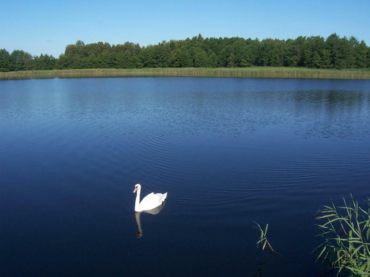 Domwigierski Pl -Jeziorki -Gr- Comfort-Ferienhaus-Polen - Wlasna Linia Brzegowa I Sauna Wysoki Most  エクステリア 写真