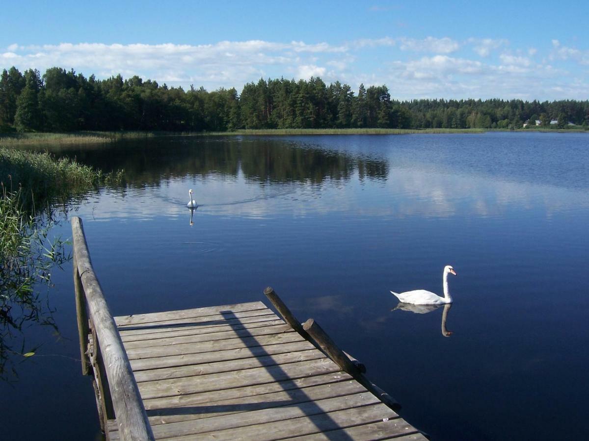 Domwigierski Pl -Jeziorki -Gr- Comfort-Ferienhaus-Polen - Wlasna Linia Brzegowa I Sauna Wysoki Most  エクステリア 写真