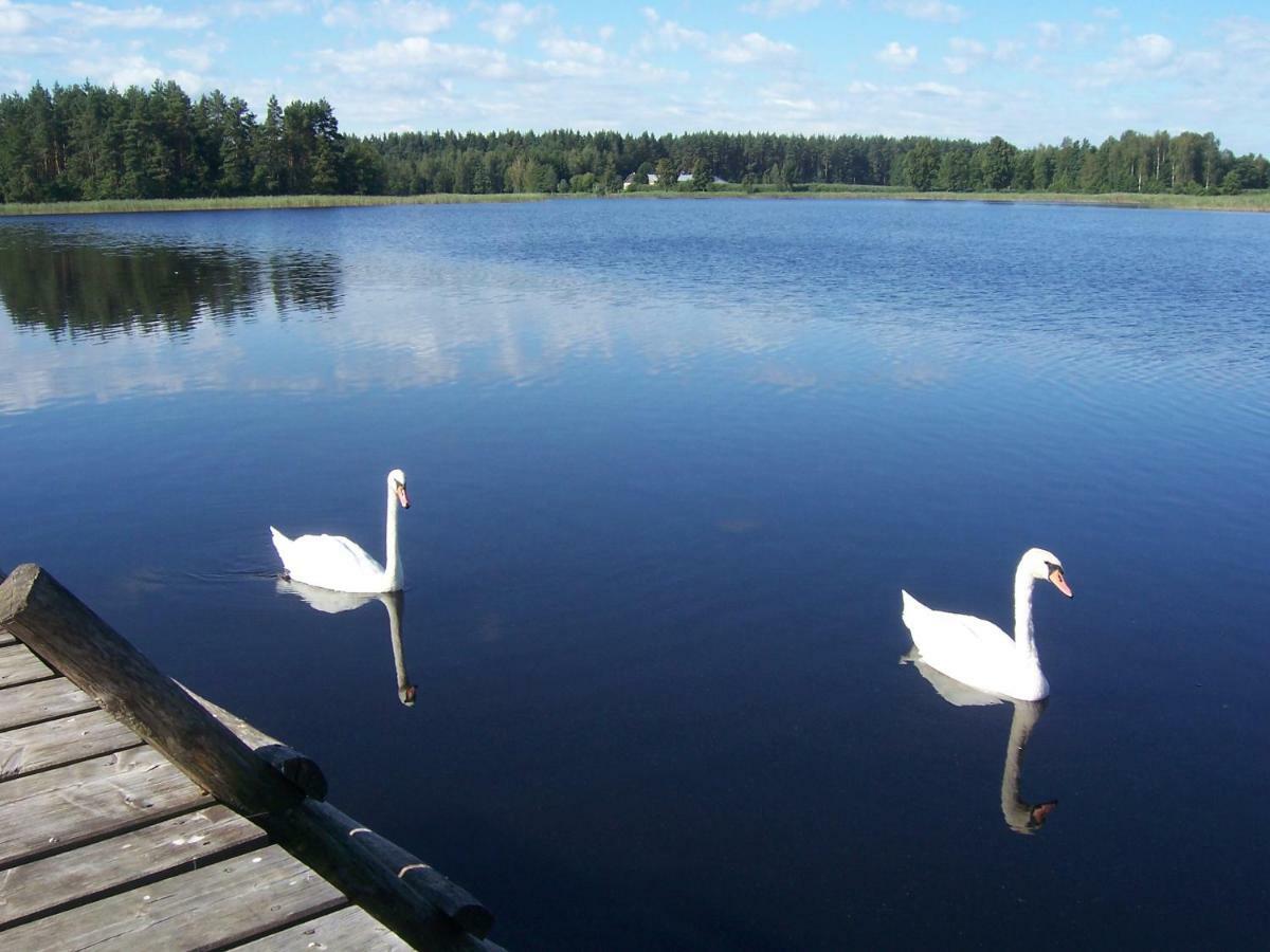 Domwigierski Pl -Jeziorki -Gr- Comfort-Ferienhaus-Polen - Wlasna Linia Brzegowa I Sauna Wysoki Most  エクステリア 写真